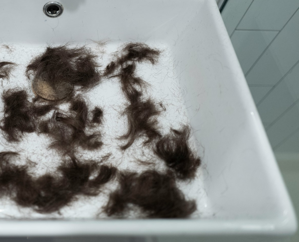 Photo of hair in a sink.